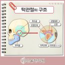 선율한의원 네이버블로그