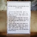 제주 산방산 암벽식물지대 | [제주여행] 서귀포 김정희 유배지, 제주 추사관에 가다.