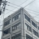 #왓츠인마이블로그 챌린지 ㅣ EP 3. 케이크 어디까지 먹어봤니? 원형들_고수케이크