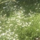 십일월오일 이미지