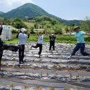 덕산축산 이미지