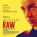로우(RAW)