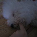 영덕종합동물병원 이미지