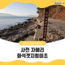 화석 2002 이미지