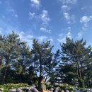 에이플러스팜 이미지