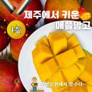 무영농장 이미지