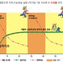 과일얼라이브