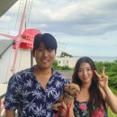 꿈꾸는풍차애견동반펜션 이미지