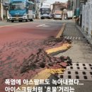 아이스크림정류장