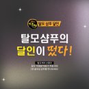헤드트리 이미지