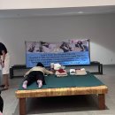 생활소품/옷만들기(주간) | [광주 가볼만한 곳] 🌏2025 아시아 문화주간 아시아아트 마켓 방문 후기