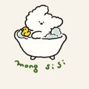 몽시시 이미지