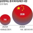 잭팟
