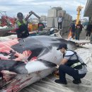 포항시남구67 이미지