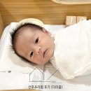 산후조리원 후기 (더리움 산후조리원)