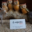 염소농장 이미지