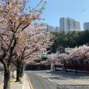 영도구청 보건소 이미지