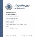 아이비에스솔루션