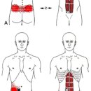 디데이핏 이미지