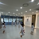 마린태권도장 이미지