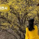 ICHEON22 이미지