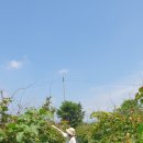 담산농장 이미지