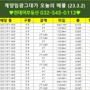 임광그대家공인중개사사무소 이미지