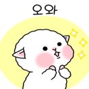 01-110 동구 이미지