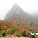 (주)제주로투어 이미지