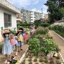 순성초등학교 이미지