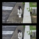 충천도식당 이미지