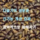 다슬기마을 | 다슬기의 성분과 간기능 개선 효과, 과학적으로 파헤치기