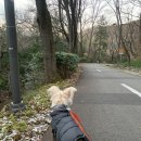 너릿재주차장 공중화장실 이미지