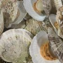 부강수산 이미지