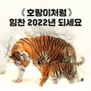 2022년 호랑이해 이미지 이미지