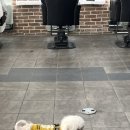 헤어카페 이데아 세종나성점