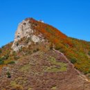 청덕면사무소 이미지