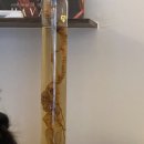 남강슈퍼 이미지