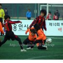 남동41 Daum카페