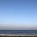 초원카페 이미지