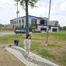 예산 덕산메타세쿼이아길 아이랑 예산여행 사진명소