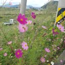 한림정역 이미지