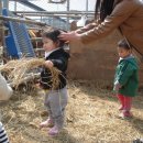 소여농장 이미지