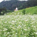 하얀낭만