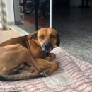 (주)견공 이미지