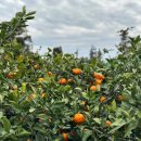 서점숙소 이미지