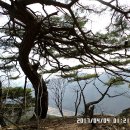 극락정사 Daum카페