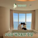 펫프렌즈동물병원 | 5성급 호텔 카시아 속초! 애견동반 호캉스 후기, 꿀팁 정리