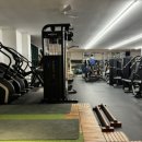 아나토미 스트랭스 이미지