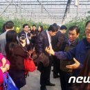 이병렬 농장 이미지